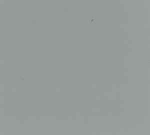 Solid light gray background
