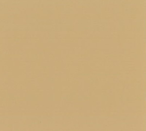 Solid beige background.