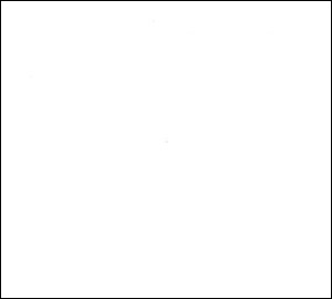 Blank white image